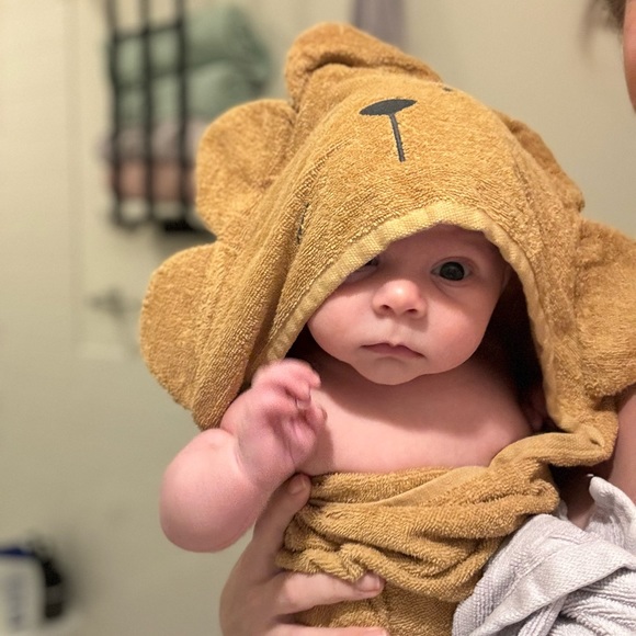 Schalkat Live Posh Shows- like this Listing for notifications - Picture 7 of 9